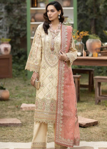 Aneela’s 3pc suit