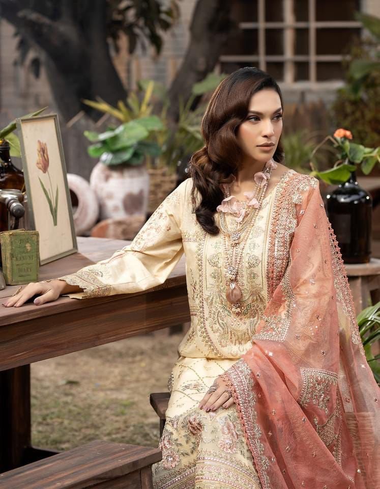 Aneela’s 3pc suit